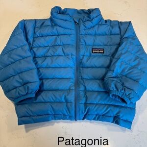 Patagonia Vibrant Blue Quilted Jacket